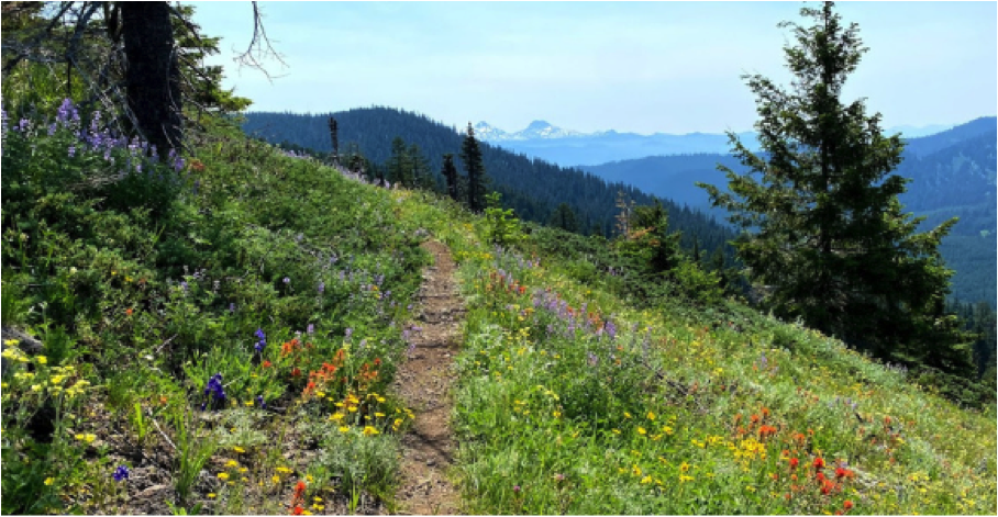 What's your favorite hiking trail in Oregon?