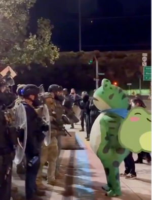 Portland frog protester