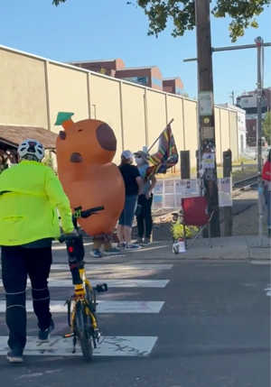 Peaceful portland protester